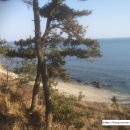 양포약국 이미지