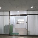 먼슬리왁싱