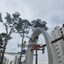 밀착컴퍼니