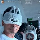 스테이인주