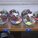 원예 테라리움 이미지