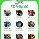 스테이독채 펜션 민박 이미지
