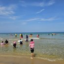 GS25강릉터미널점 이미지