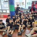 박달복싱 이미지