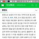 큰아빠네 반찬 이미지