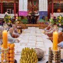 살아생전 이미지