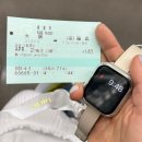 [오사카/4박 5일] 벚꽃투어 오사카편(1)✿ (간사이공항, 모에요멘스케, 다이마루우메다, 벚꽃크루즈...