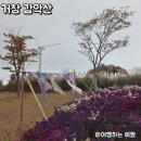 갑천농장 | 거창 감악산 별 바람언덕 아스타국화축제 풍력단지