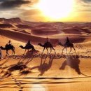 두바이 무도장 이미지