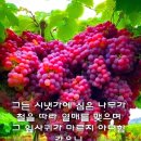 애틀리에