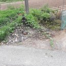 금가면사무소 이미지