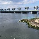 갈맷길(4-3구간) 이미지