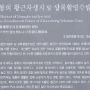 식산봉의 황근자생지 및 상록활엽수림 이미지