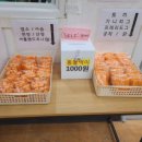 덕평공룡수목원 이미지