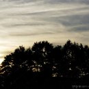 삼숭1통마을회관 이미지