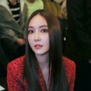 더 플랫
