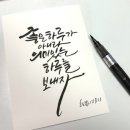 예쁜하루