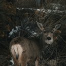 필한의원 이미지