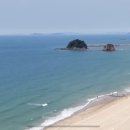 꽃지아라 이미지