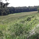 이천목장 이미지