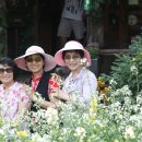 하이디하우스 이미지