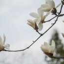 소탐농장 이미지