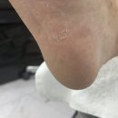 네일디바NailDiva | 건대입구 뚝섬역 발각질 유튜브 보고 방문했어요 네일디바&레푸스건대점