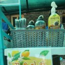 다문1리 이미지