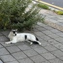 이웃집 동물병원 | 2025년 하반기 일상 모음