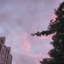 천운1호 | [A/1호.01] 첫 부동산 거래와 기록