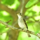천년맛고을 이미지