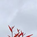 세간 - 부여군 자온로 82 | 세간