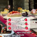 애슐리퀸즈 대구이월드점 | 2025 애슐리 딸기 축제 기간 가격 내돈내산 후기 애슐리퀸즈 대구이월드점