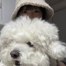 둥이뽀