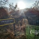 감분마을경로당 이미지