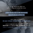 배산동물병원 이미지