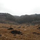 고성리-11 네이버블로그