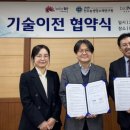 전주미나리 이미지