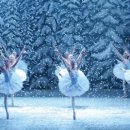 유니버설발레단 <호두까기인형> 이미지