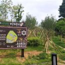 무궁화동산