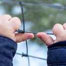 거창한 하루 이미지