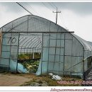 황태자농장 이미지