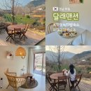 하동 에어비앤비 감성 숙소, 달래맨션 : 녹차밭 뷰 1번 방 내돈내산 후기(feat. 예약 링크)