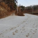 터골농원 이미지