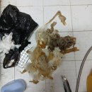 행운동-50 이미지