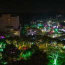 제주허브동산 이미지