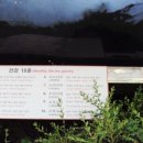 광명 시민체육관(외부) 이미지