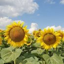 윤정농장 이미지