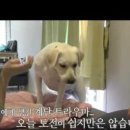 대운컴퍼니 이미지