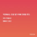 영앤로또 이미지